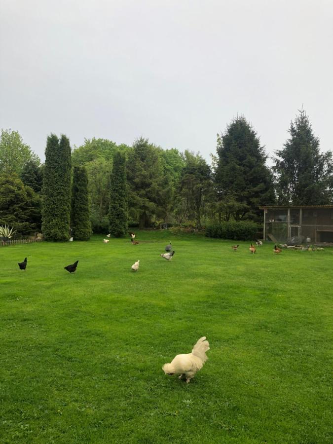 Agroturystyka Nad Stawami Szemud Zewnętrze zdjęcie
