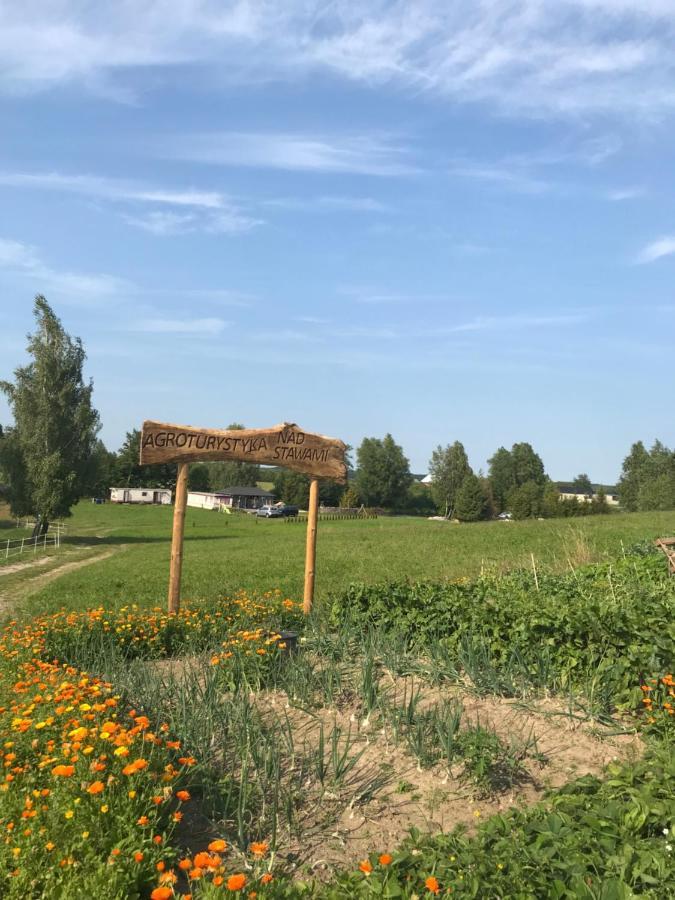Agroturystyka Nad Stawami Szemud Zewnętrze zdjęcie